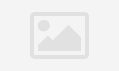 Level 2 Scaffolding (CISRS Operative Training Scheme (COTS))
